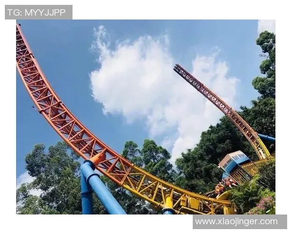 广州滑板队的奋斗历程与梦想追逐的真实记录